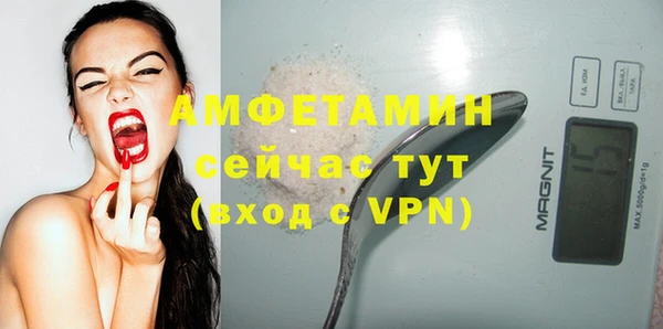 молекула духа Михайловск