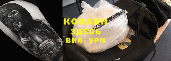 молекула духа Михайловск