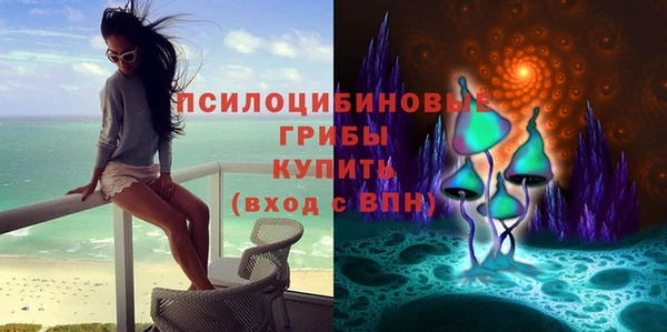 молекула духа Михайловск