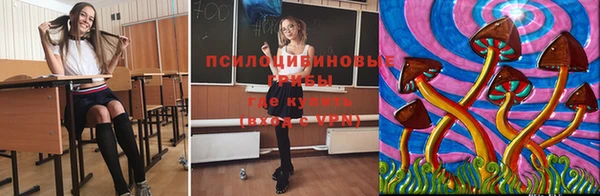 шишки Навашино