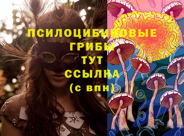 молекула духа Михайловск