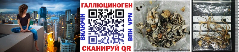 Галлюциногенные грибы прущие грибы  цена наркотик  это состав  Каневская 